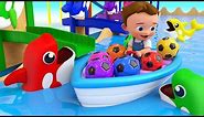 Dolphins Color Balls Tumbling Toy Set 3D - Little Baby Learning Colors for Children Kids Educational