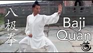 Baji Quan Explained - Combat Applications and demonstrations by Wudang Kung Fu Master Yuan Xiu Gang
