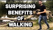 5 Surprising Health Benefits of Walking (And Why You Should Do It Everyday) - According To Science