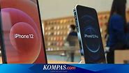 iPhone 12 Resmi Dijual Hari Ini di Indonesia