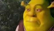 Shrek meme face scene - Funny shrek videos