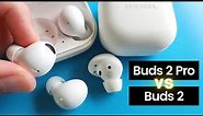Galaxy Buds 2 Pro vs Buds 2 - comfort, fit and size comparison