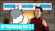 Introduction to Memory [AP Psychology Unit 5 Topic 1] (5.1)