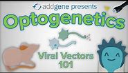 Optogenetics - Viral Vectors 101