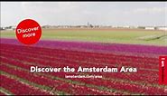 Explore the Amsterdam Area's spectacular Flower Strip | I amsterdam