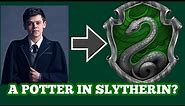 Why was Albus Potter sorted into Slytherin?