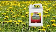 Lawn and pasture treatment with 2,4-D herbicide | Belted Galloway Homestead