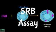 Sulforhodamine B Assay | SRB Assay |