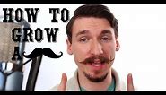 How To Grow and Style a Handlebar Mustache - A Tutorial - Matt Tastic