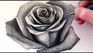 How to Draw a Rose