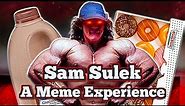 Sam Sulek - A Meme Experience