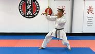 The Five Animal Styles that Influenced Karate | GKR Karate