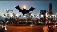 THE BAT BRIDGE OF AUSTIN TEXAS - MASSIVE BAT COLONY!!!