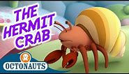 Octonauts - The Hermit Crabs | Full Episode | Cartoons for Kids