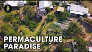 Hugely Abundant 1-Acre Permaculture Homestead Tour – Limestone Permaculture Farm Revisit
