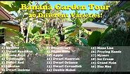 Banana Garden Tour | 20 Varieties of Bananas!