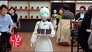 A Pop-Up Japanese Cafe With Robot Servers Remotely Controlled by People With Disabilities