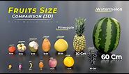 Fruit size comparison | 🍍🍎🍓🍇 | Fruits name | Size comparison | fruit | world data