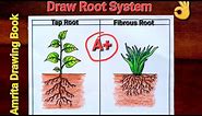Root System Diagram Easy | How to Draw Tap Root and Fibrous Root step by step | Types of Roots