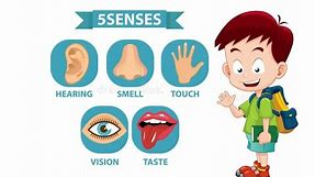 Five Senses Talking Flashcards