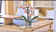 LEGO Orchid Aesthetic Build • Plant Decor, Perfect for Cozy Home Office! (Model 10311)