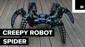 Robotic spider looks freakishly real