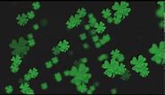 4 Leaf Clover Glow Background. Four Leaf Clover Animation. St Patrick's Day.