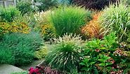 15 Beautiful Ways to Use Ornamental Grasses in Your Landscape