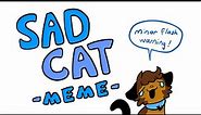sad cat meme (minor flash warning)