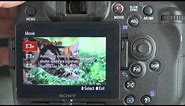 Sony A77 Video Features Review