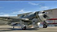Restored WWII Republic P-47 Thunderbolt "Razorback" Fighter Flight Demo !