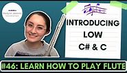 How to Play the Flute #46 - Introducing Low C & C#