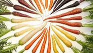 Why Carrots Are Different Colors & Fun Facts