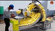 Mass Production Processes and Modern Manufacturing Machines ▶4