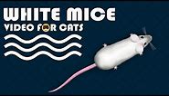 CAT GAMES - Catching White Mice! Mouse Video for Cats to Watch | CAT & DOG TV.