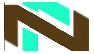 FN logo design pixellab