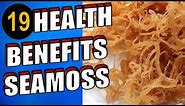 19 Amazing Health Benefits & Uses of Sea Moss For Skin, Hair Face & Weight Loss