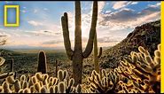 Deserts 101 | National Geographic