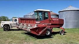 Hesston 6450 Swather for sale at Auction