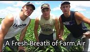 A Fresh Breath of Farm Air (Fresh Prince Parody)