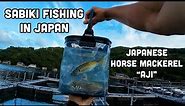Sabiki Fishing in Japan - Japanese Horse Mackerel "Aji"