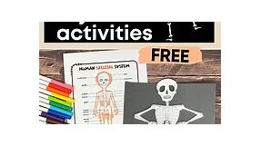 Human Skeletal System Activities: 5 Cool Ways (  Free Printables)