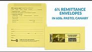 6 ¾ Remittance Envelopes