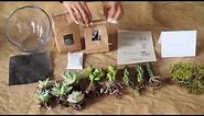 What's in a DIY Succulent Terrarium Kit from Juicykits.com?