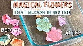Magic Blooming Paper Flowers | Fun STEM Activity For Kids