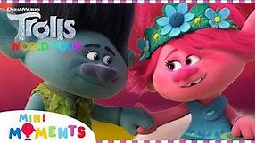 The Compete Story Of Poppy and Branch 💖 | Trolls World Tour | Movie Moments | Mini Moments