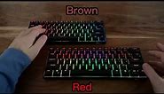 Red switches vs Brown switches