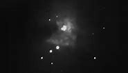 Live view of the Orion Nebula from the backyard. Stars are actually bring born on this video. The Orion Nebula is actually bright enough to where it makes creating this video possible. Date: Mar. 4, 2023 Telescope: Celestron 8SE Camera: Nikon D3300 (modified) #astrophotography #astronomy #telescope #stars #space #nightphotography #nature #nightsky #stargazing #deepsky #universe #cosmos #nightshooters #atlanta #dacula #lawrenceville #suwanee #gwinnettcounty #art #photography #orion #nebula | Spac