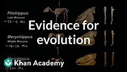 Evidence for evolution | Biology | Khan Academy