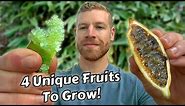 Growing & Tasting Some Of My Favourite Unusual Fruits